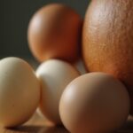 Masse musculaire : Quelle quantité de calories contient un œuf ?